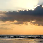 Trischenblick *